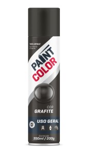 SPRAY 350ML GRAFITE PAINTCOLOR