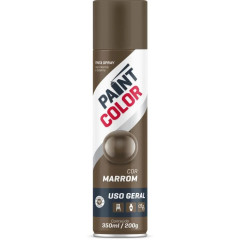 SPRAY 350ML MARROM PAINTCOLOR