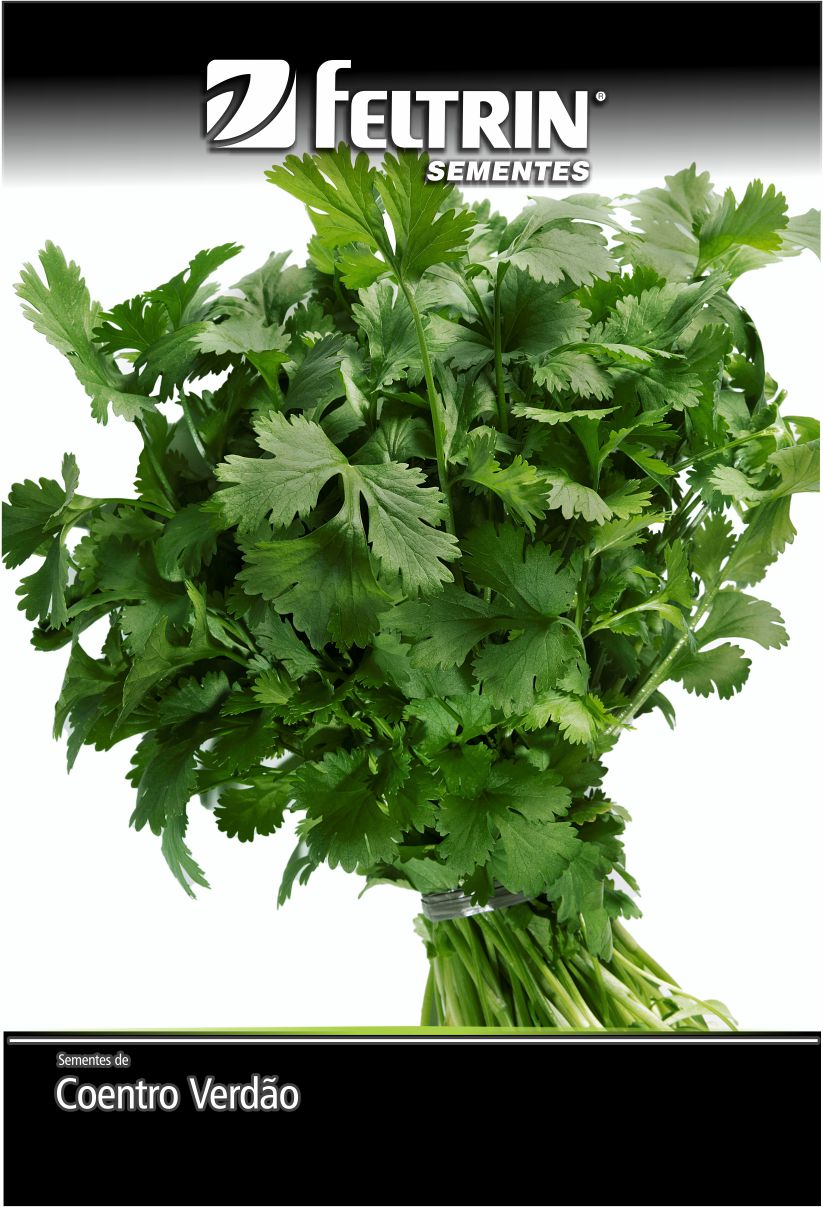 SEMENTE COENTRO VERDAO 1,6G