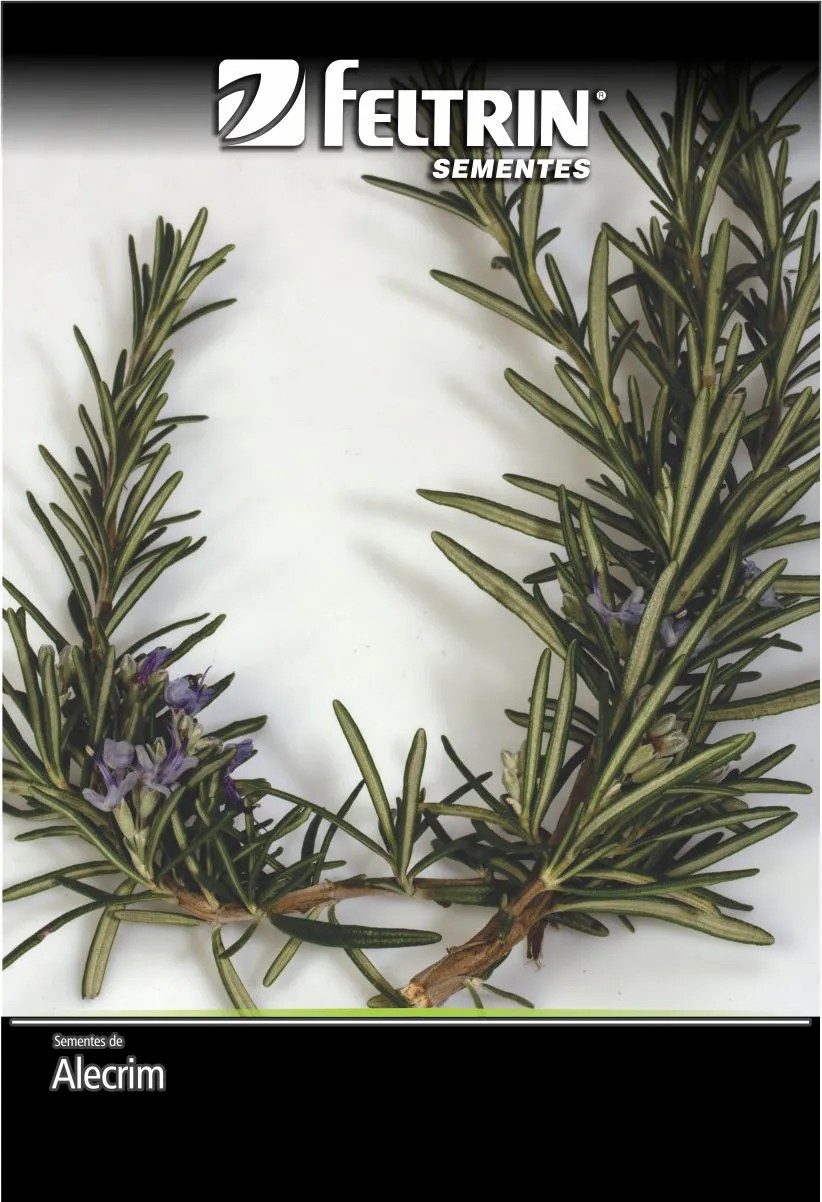 SEMENTE ALECRIM ORVALHO DO MAR 30MG