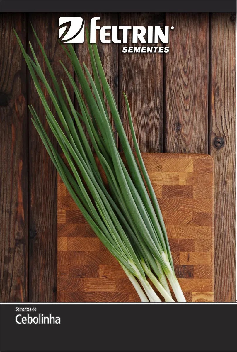 SEMENTE CEBOLINHA 400MG