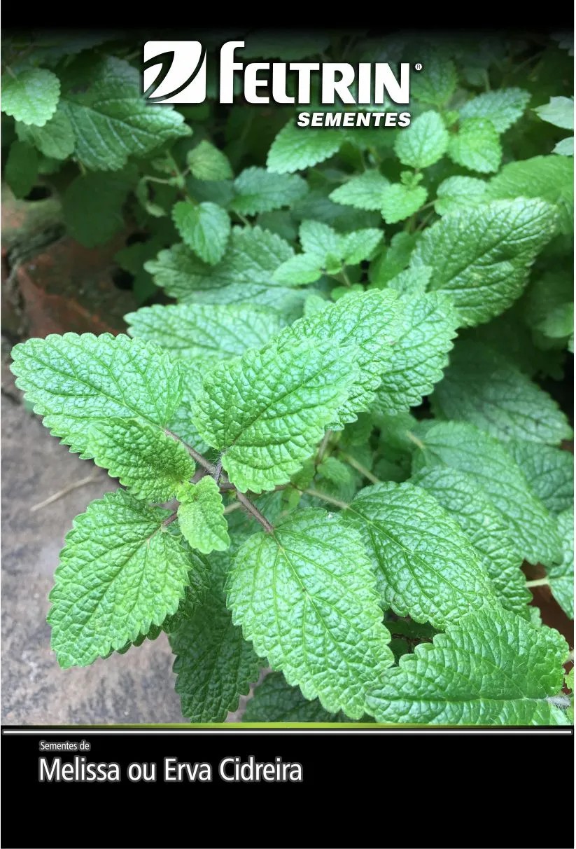 SEMENTE ERVA CIDREIRA 150MG