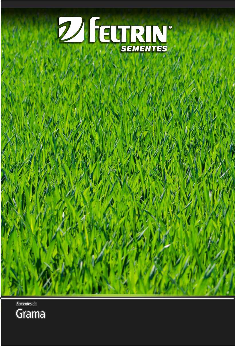 SEMENTE GRAMA JESUITA 2G