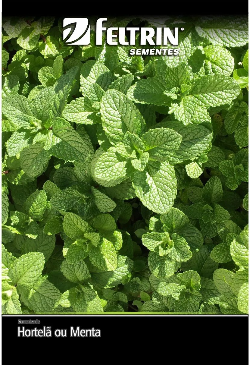 SEMENTE HORTELA OU MENTA  30MG