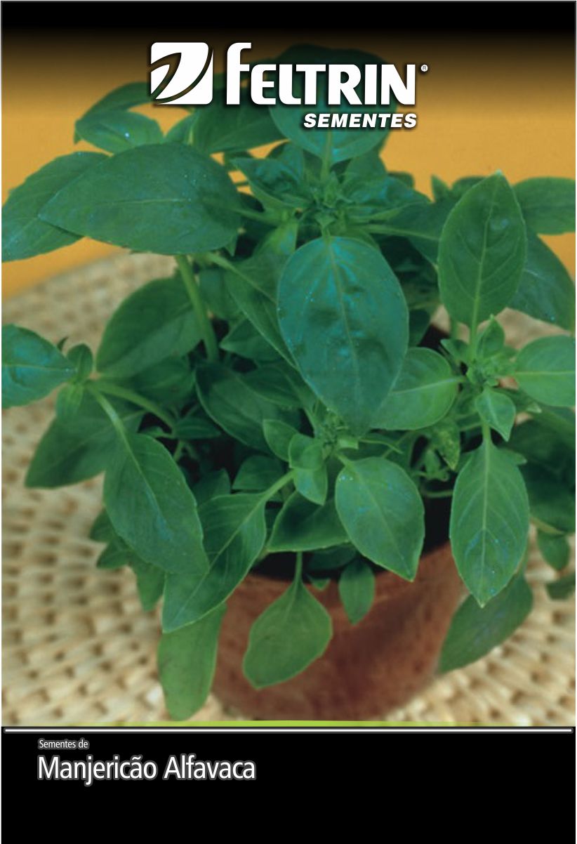 SEMENTE MANJERICAO ALFAVACA VERDE 150MG