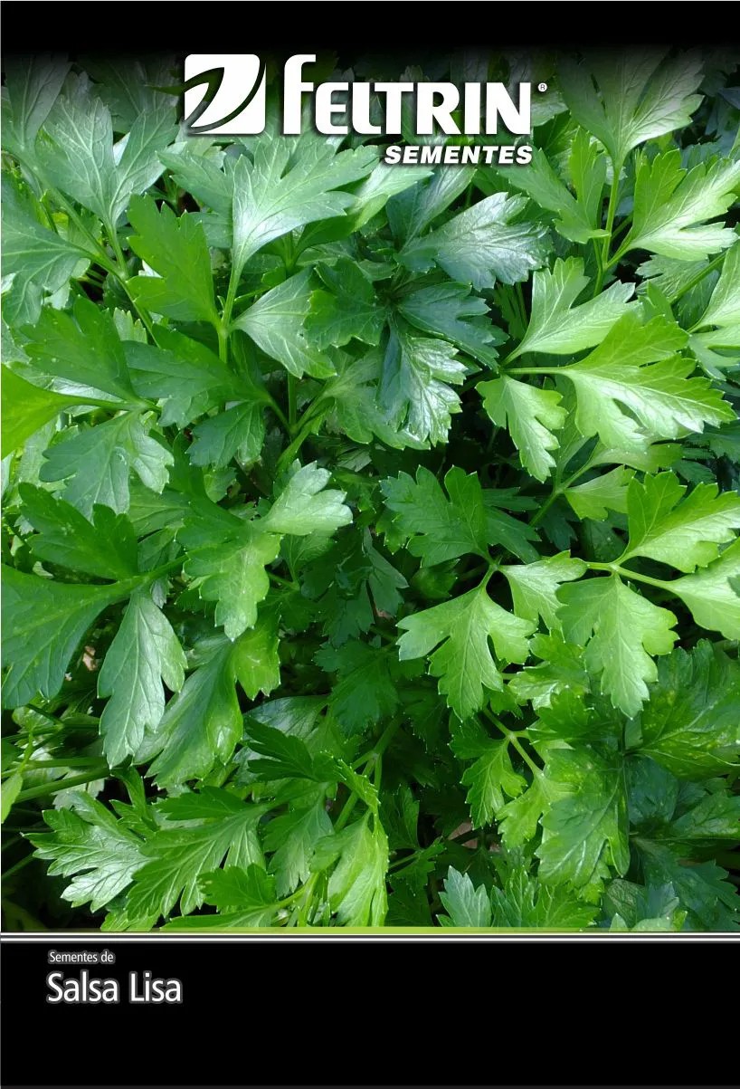 SEMENTE SALSA LISA 900MG