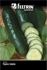 SEMENTE PEPINO SALADA 1G